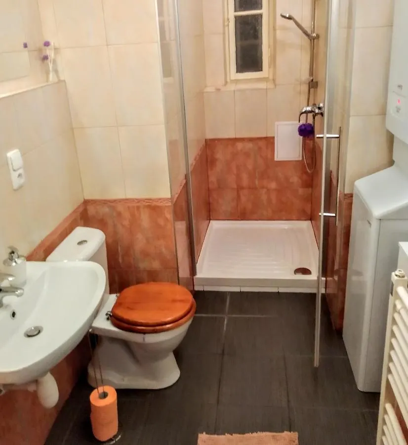 פראג Apartment Sense Of Zizkov צ'כיה
