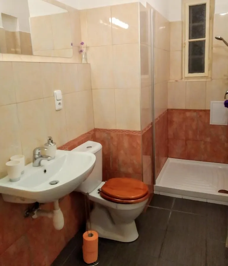 פראג Apartment Sense Of Zizkov