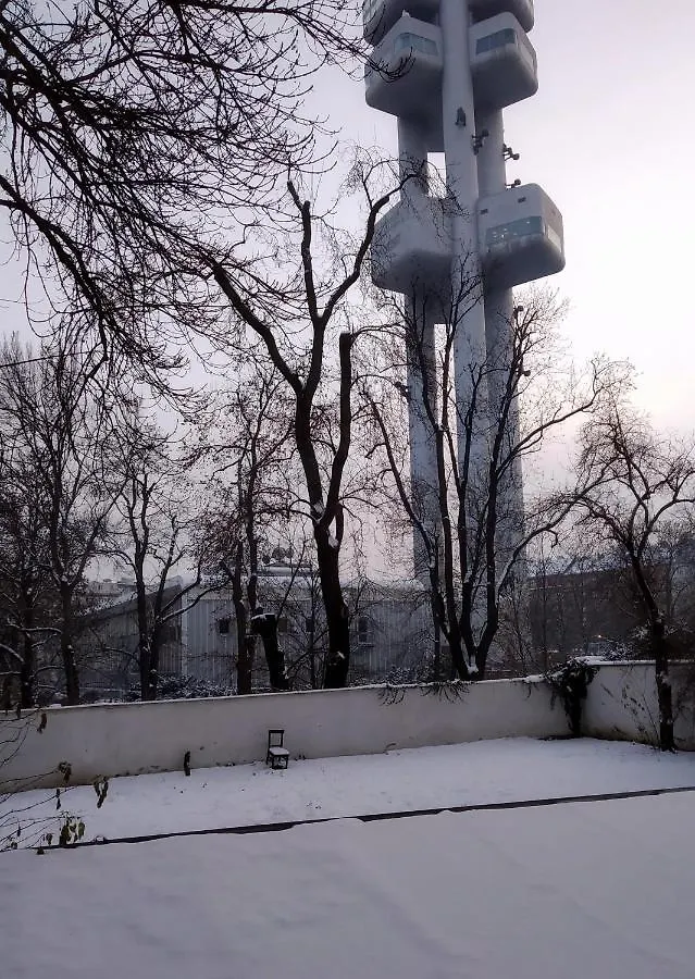 פראג Apartment Sense Of Zizkov צ'כיה
